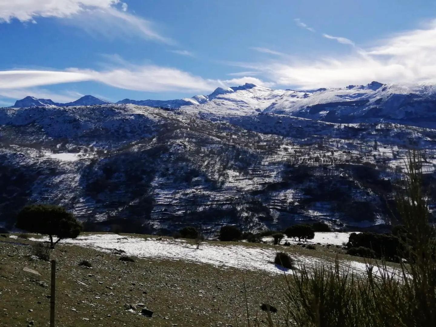 Apartamentos Sierra Nevada Park 圭哈尔谢拉 外观 照片