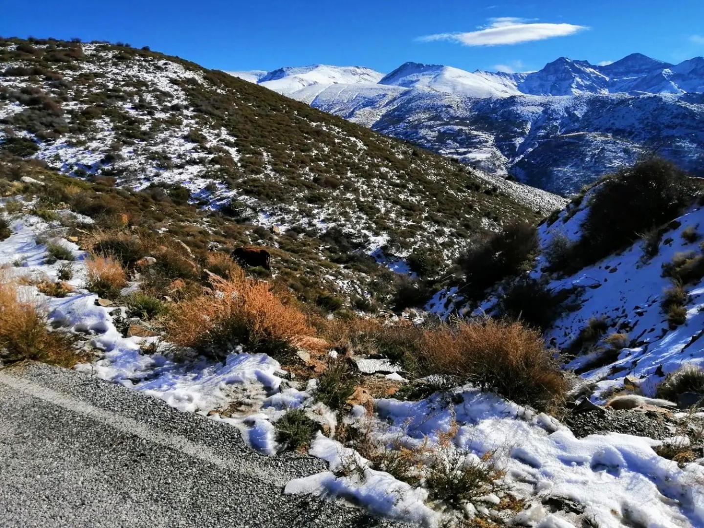 Apartamentos Sierra Nevada Park 圭哈尔谢拉 外观 照片